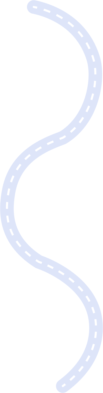 Road to successful Practical Driving Test with Driving Lessons Pro